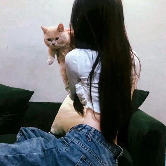 东尼泷谷